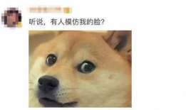 网红吃瓜事件狗头,狗头表情背后的网络狂欢与反思