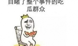 朝阳网吃瓜群众事件,网络舆论场上的风波与反思
